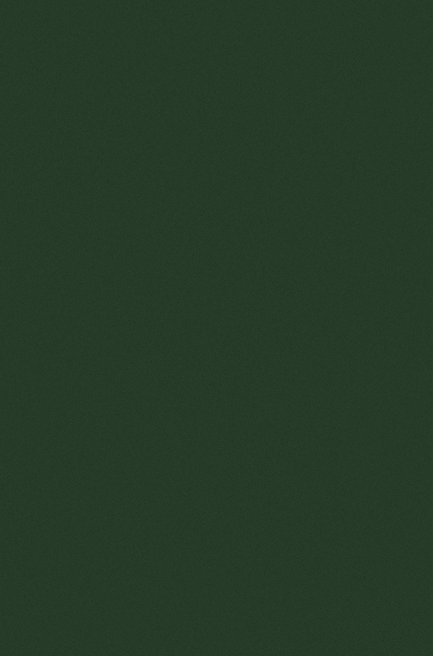 Ковер COLIZEY / P000 - GREEN