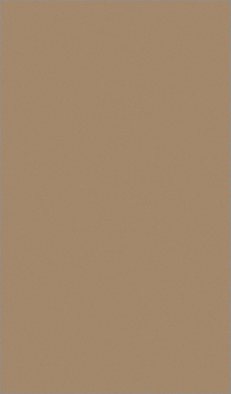Ковер LANA / T600 - DARK BEIGE